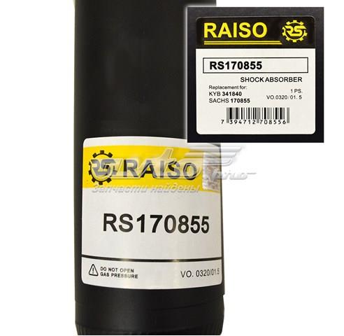 RS170855 Raiso Амортизаторы задние