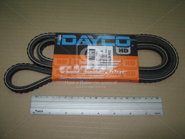  13A1675GL Dayco