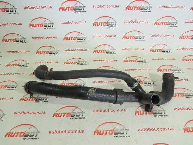 XR811918 JAGUAR Tubería de radiador arriba original y equivalente