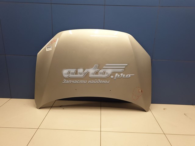 Купить 21900840201000 Lada Капот