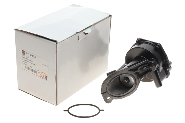 BS93101 DP Group Механический вакуумный насос