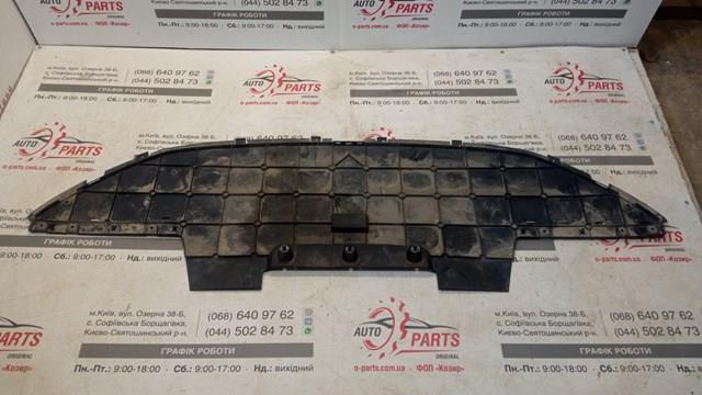 T4A31449 Jaguar 