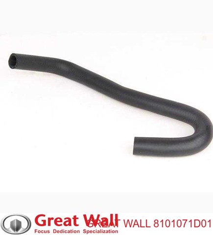 8101071D01 Great Wall 