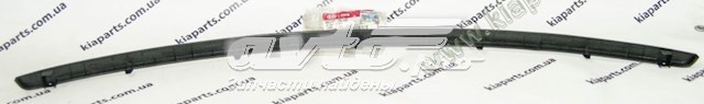 AA10051061 Hyundai/Kia 