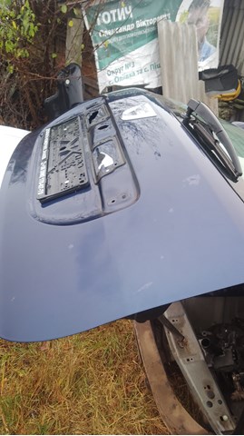 Купить 901003901R Renault (RVI) Дверь задняя багажная