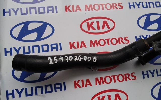 Compre Mangueira (cano derivado) do sistema de esfriamento Hyundai Tucson 2