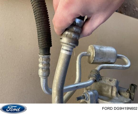 DG9H19N602 Ford 