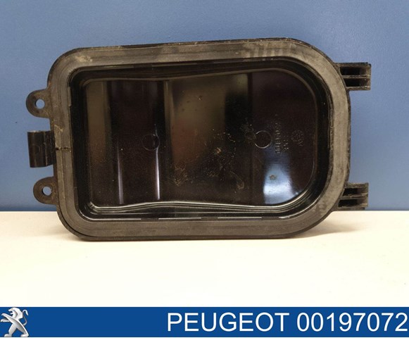 00197072 Peugeot/Citroen 