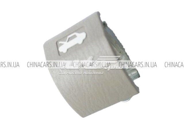 A215305070 Chery 