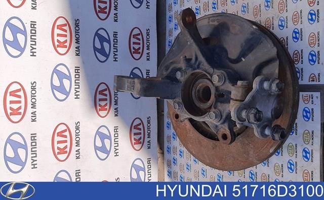 Цапфа (поворотный кулак) передний правый Hyundai/Kia 51716D3100 цена, от 91.40 USD