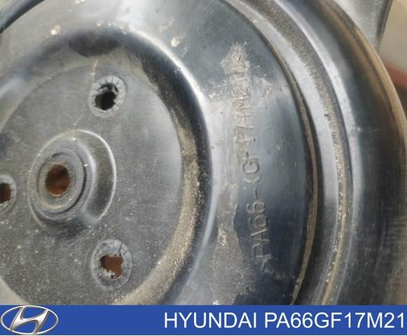 Купить PA66GF17M21 Hyundai/Kia 