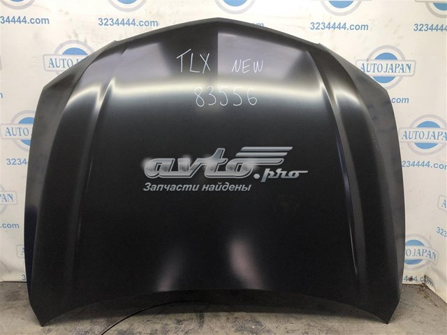 Капот 60100TZ3A90ZZ Honda