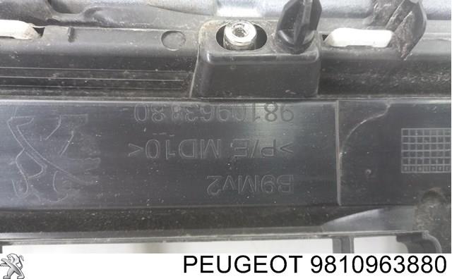  Peugeot/Citroen 9810963880 цена, от 184.83 USD