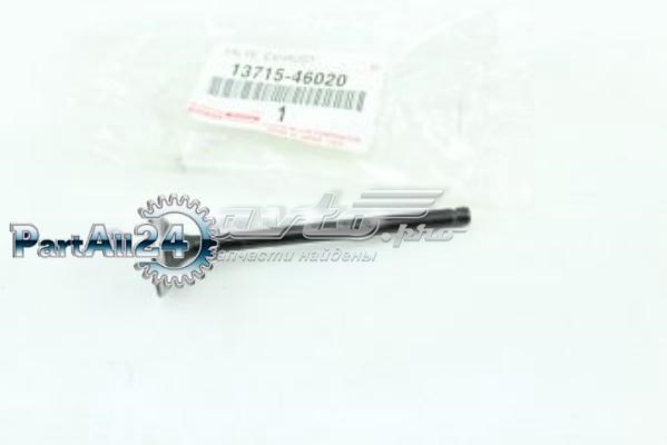 NEV816EX NIPPON MOTORS Выхлопной клапан