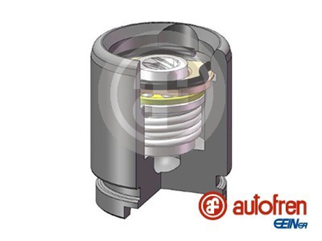 Поршень тормозного суппорта заднего  AUTOFREN D025258K