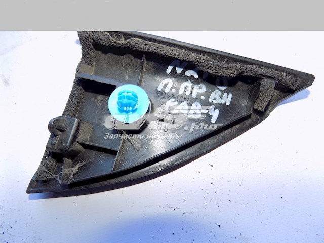 Пластик на Toyota RAV4 III A3