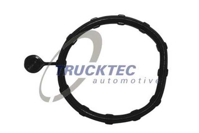 Кольцо уплотнительное кронштейна натяжителя приводного ремня 0219346 Trucktec