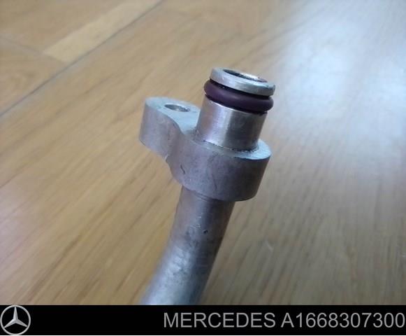 A1668307300 Mercedes 