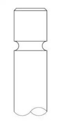3015002 Intervalves Впускной клапан