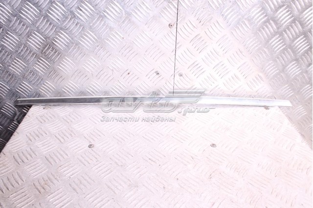 T4A16240 Jaguar 
