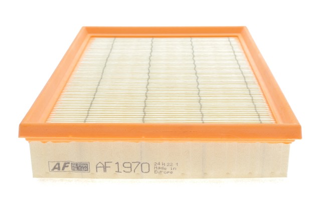 Купить AF1970 Alpha Filter 