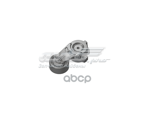 117502781R Renault (RVI) натяжитель приводного ремня
