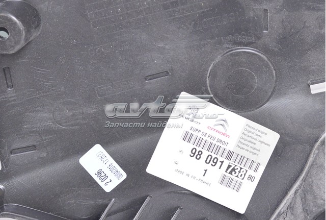 9809173880 Peugeot/Citroen 