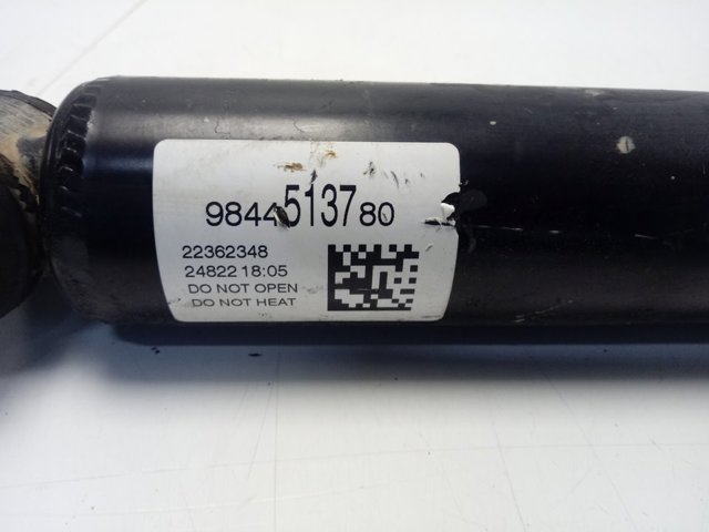 9844513780 Peugeot/Citroen Амортизаторы задние