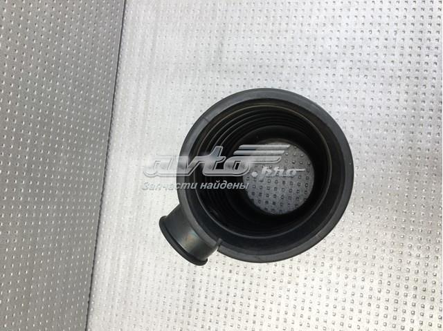  Nissan/Infiniti 165789Y59A цена, от 19.00 USD