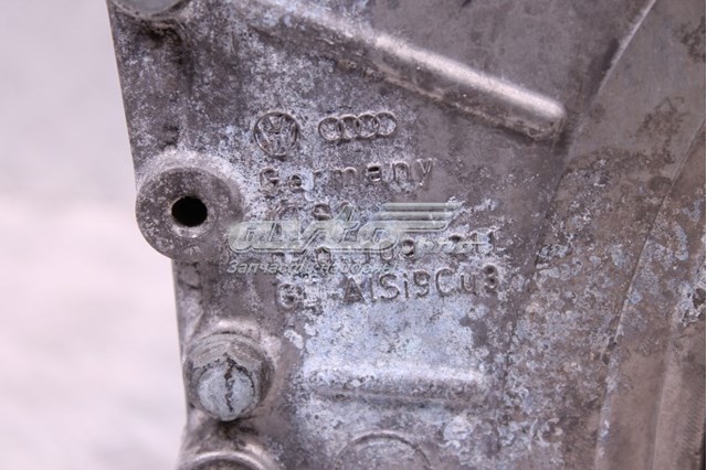  070103021F VAG