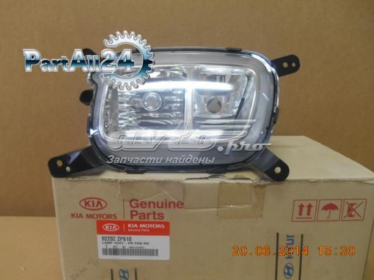 Купить 922022P610 Hyundai/Kia Туманка правая