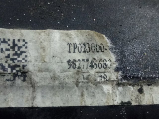 9827748680 Peugeot/Citroen 