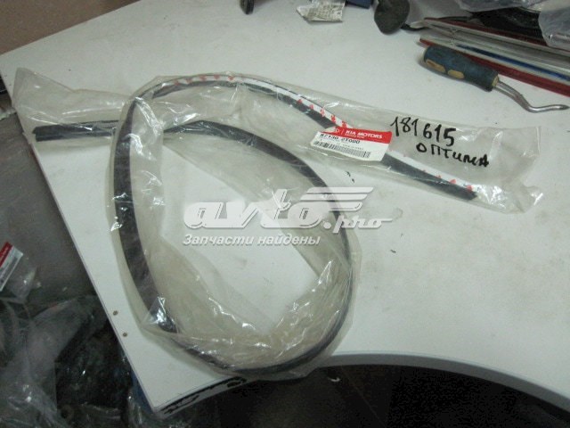 Moldura de vidro traseiro para KIA Optima (TF)