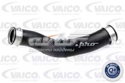 V30-2720 VEMO/Vaico mangueira (cano derivado direita de intercooler)