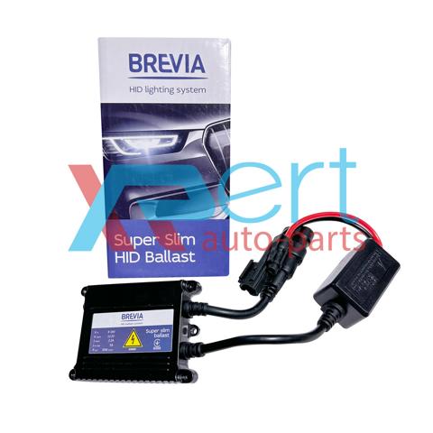  13650 Brevia