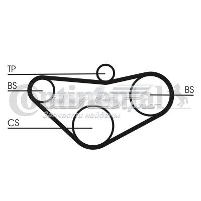 CT800 Continental/Siemens correia da árvore de equilibração