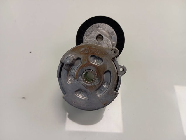 Натяжитель приводного ремня 55244469 Fiat/Alfa/Lancia