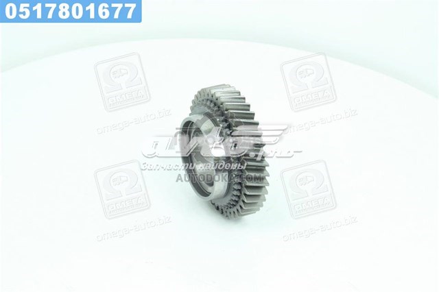 310291701140 Market (OEM) Шестерня заднего хода