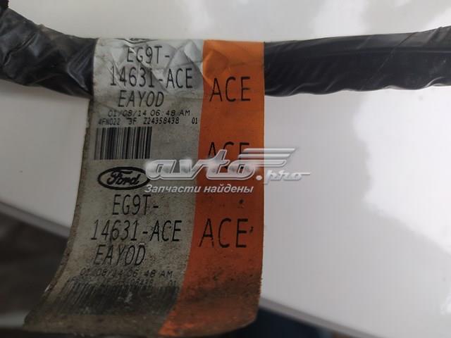 EG9T14631ACE Ford 
