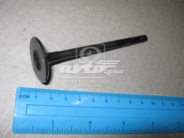 Впускной клапан V95013 AE