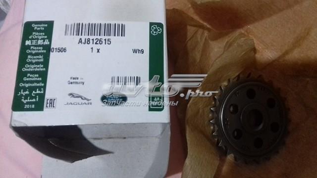 Купить AJ812615 Jaguar Шестерня масляного насоса