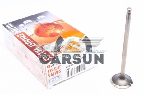 PFOR141A0N AMP/Paradowscy Впускной клапан