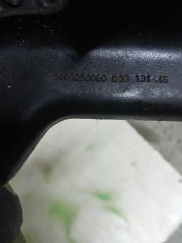 9685250080 Peugeot/Citroen 