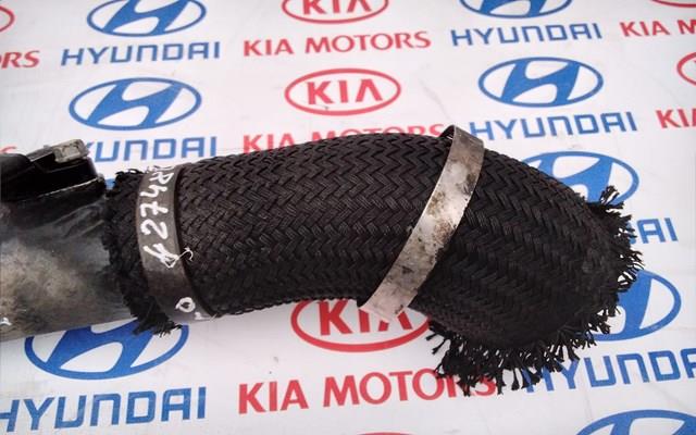  2826427480 Hyundai/Kia