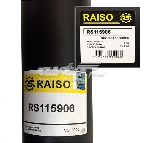 Амортизаторы передние Raiso RS115906