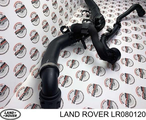 Нижний шлаг радиатора охлаждения LR080120 Land Rover