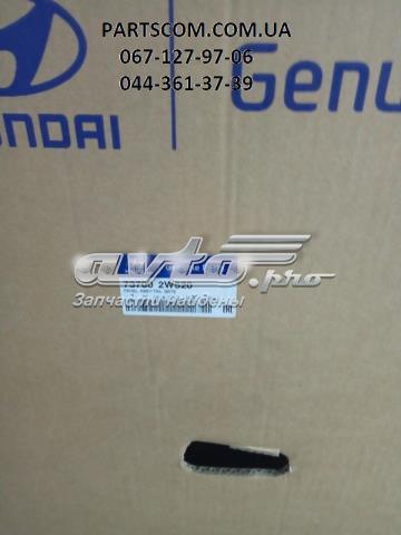 737002W520 Hyundai/Kia Задняя дверь