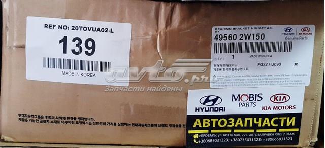 495602W150 Hyundai/Kia 