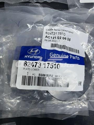  6247317510 Hyundai/Kia