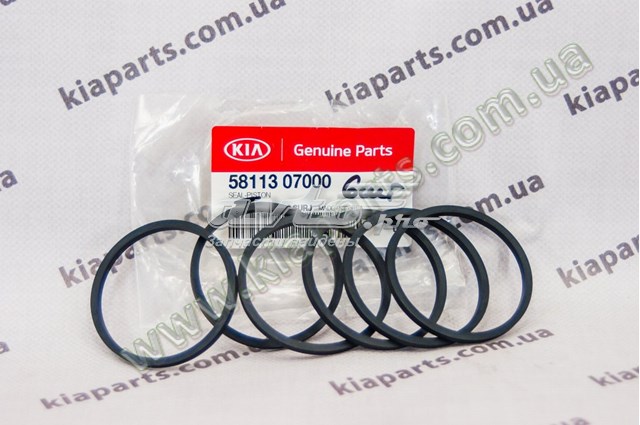 Купить 954301RAB1 Hyundai/Kia 